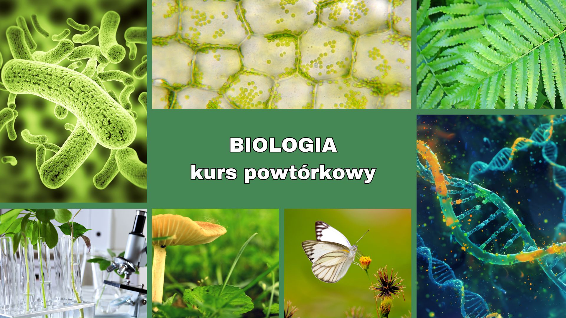 Biologia kurs powtórkowy - matka