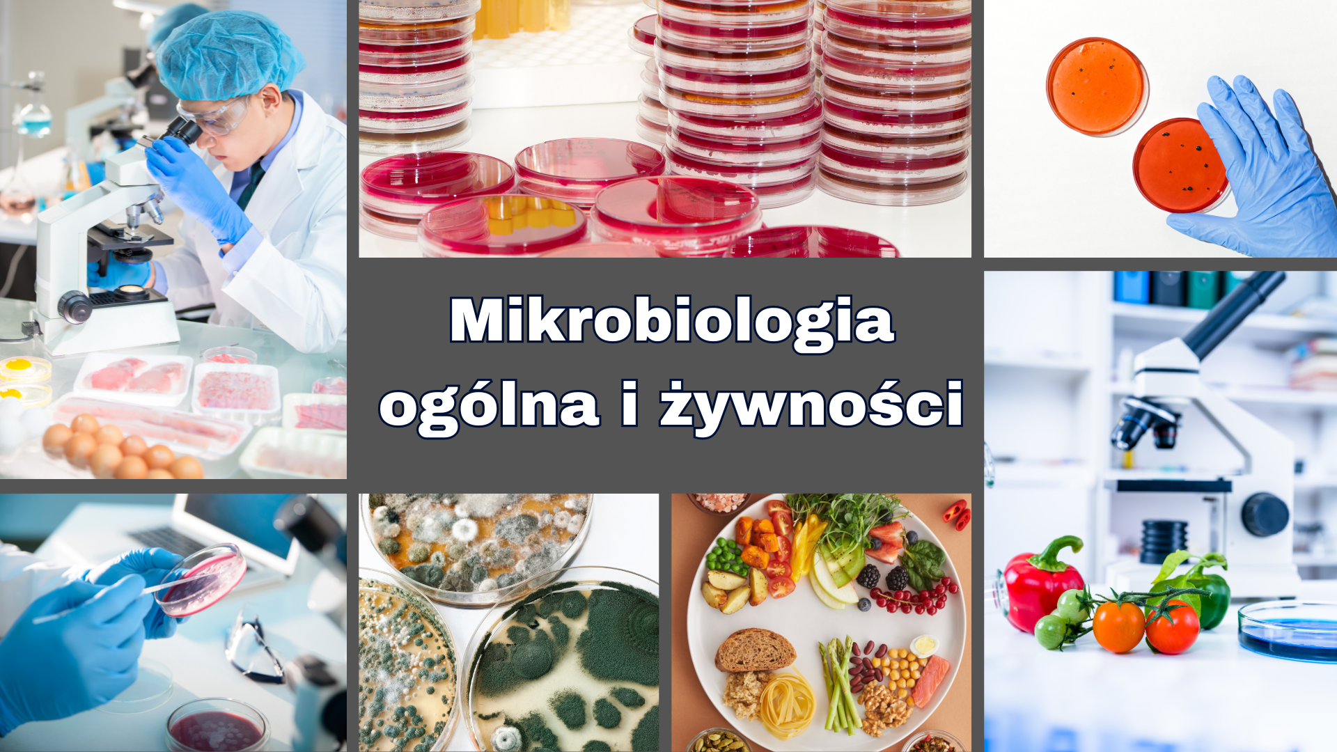 Mikrobiologia ogólna i żywności - 24/25L