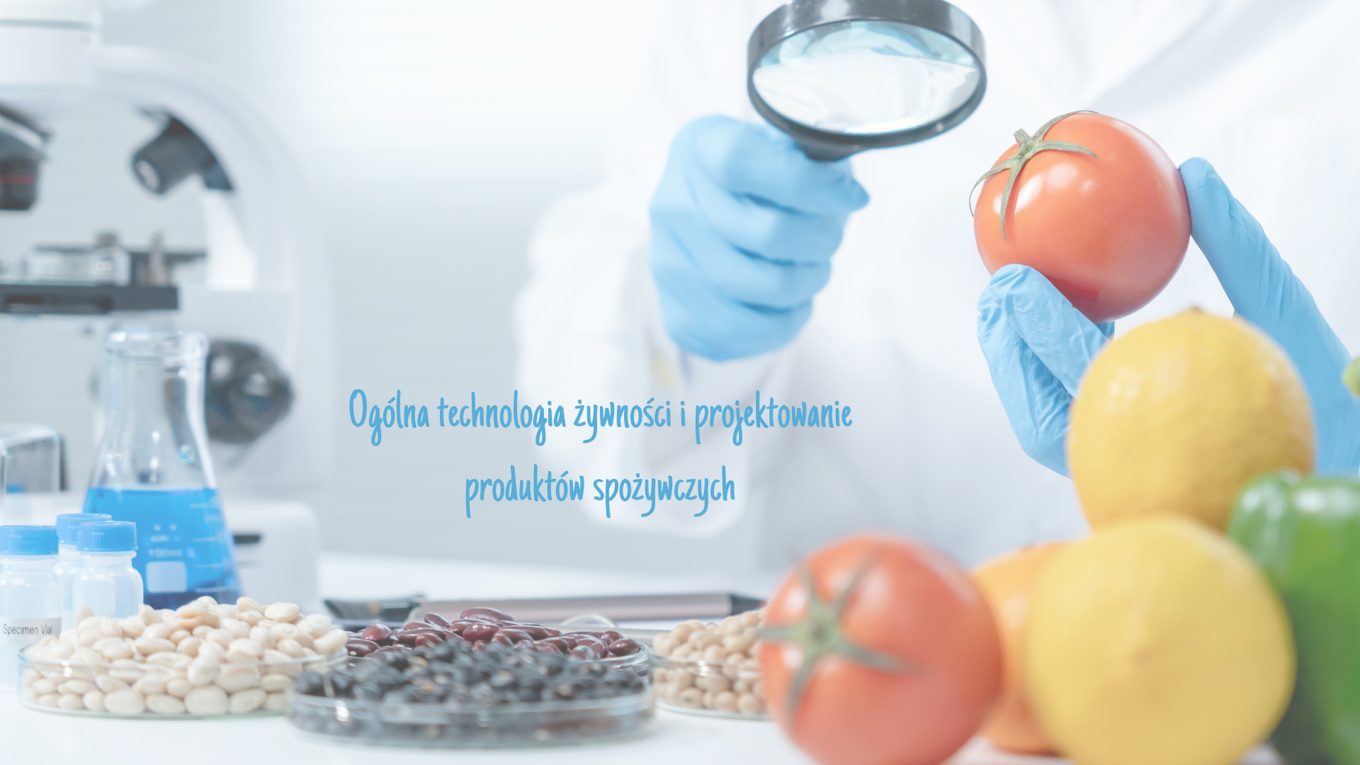Ogólna technologia żywności i projektowanie produktów spożywczych - K.Sokół - 24/25Z - W+CW